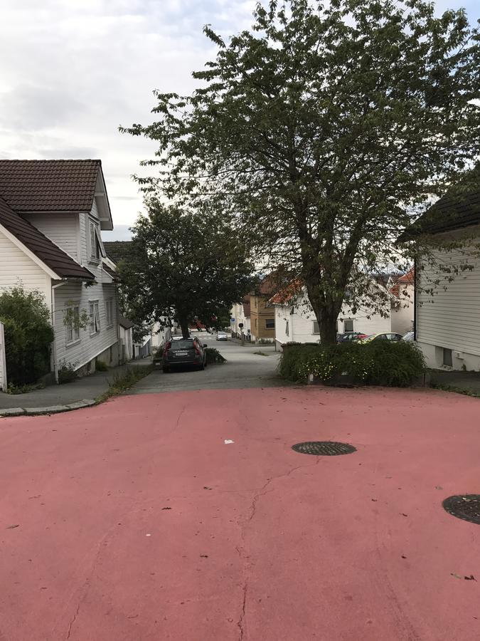 Centrum Mollegata 81